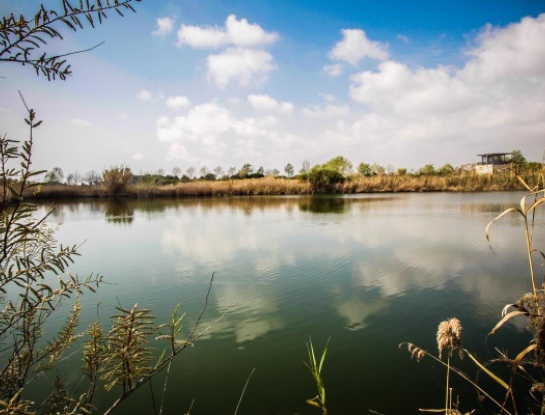 Passejada de descoberta