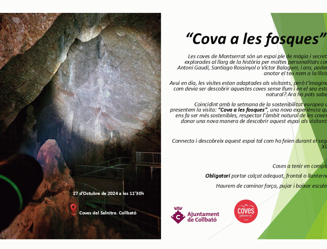 La cova a les fosques