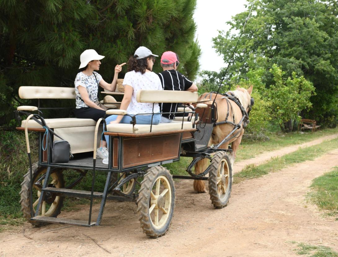 Matins i Capvespres a pagès