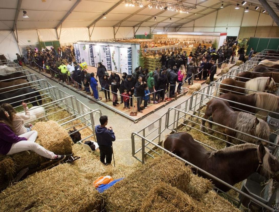 52a Fira Avícola Raça Prat