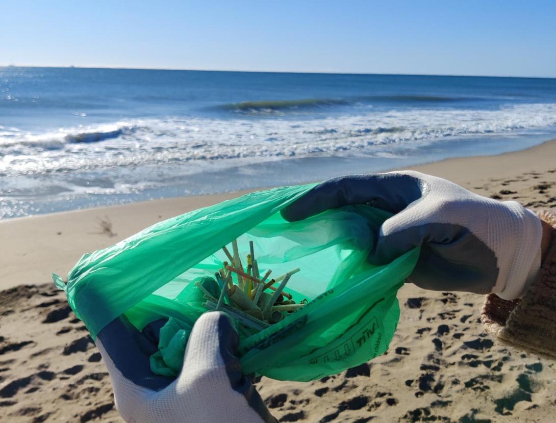 Jornada de neteja de platja del Prat