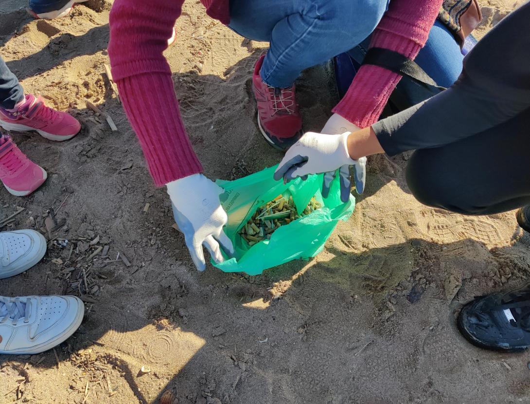 Jornada de neteja de platja del Prat