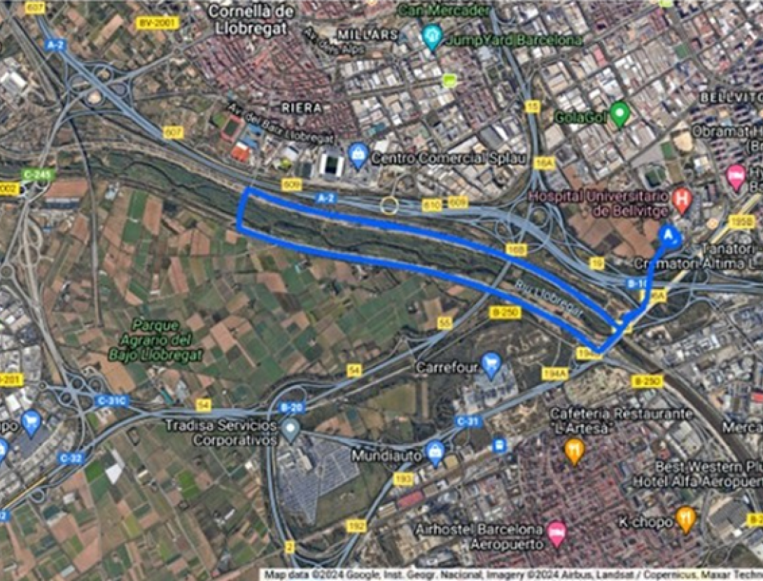 2a edició de l'ONCOMARXA