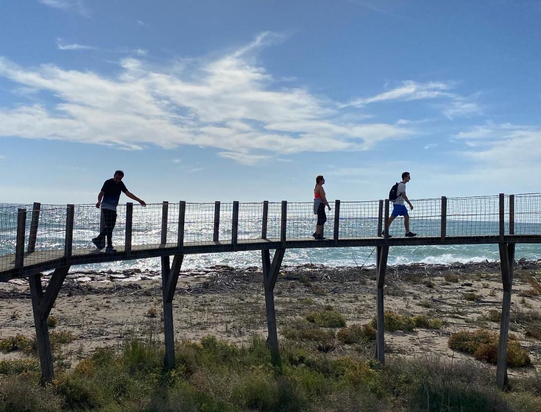 Ruta en bici per la Ruta Fira Avícola El Prat