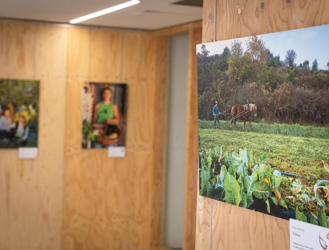 Exposició fotogràfica “Barcelona pagesa. Retrats d’una agricultura en transformació”