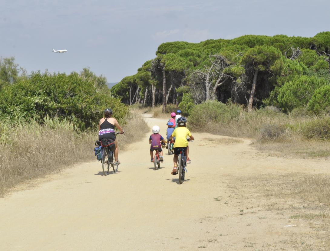 CONNECTA AMB LA NATURA AL RITME DELS PEDALS Ruta familiar en bicicleta i carruatge de cavall pel Delta de Viladecans