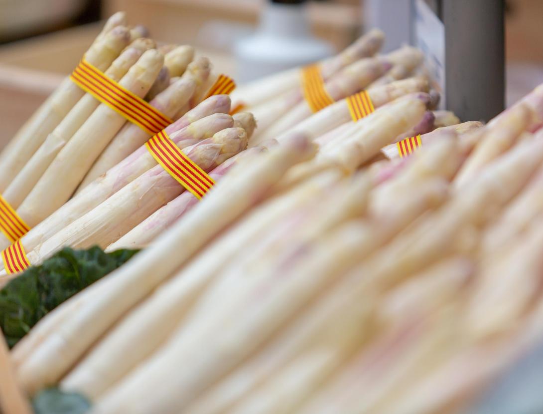 Temps d'Espàrrecs a Gavà