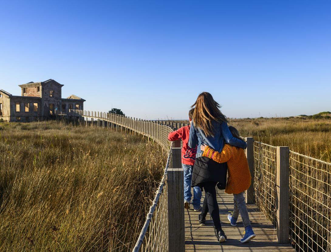 _ORP0225 copiaBA.jpg