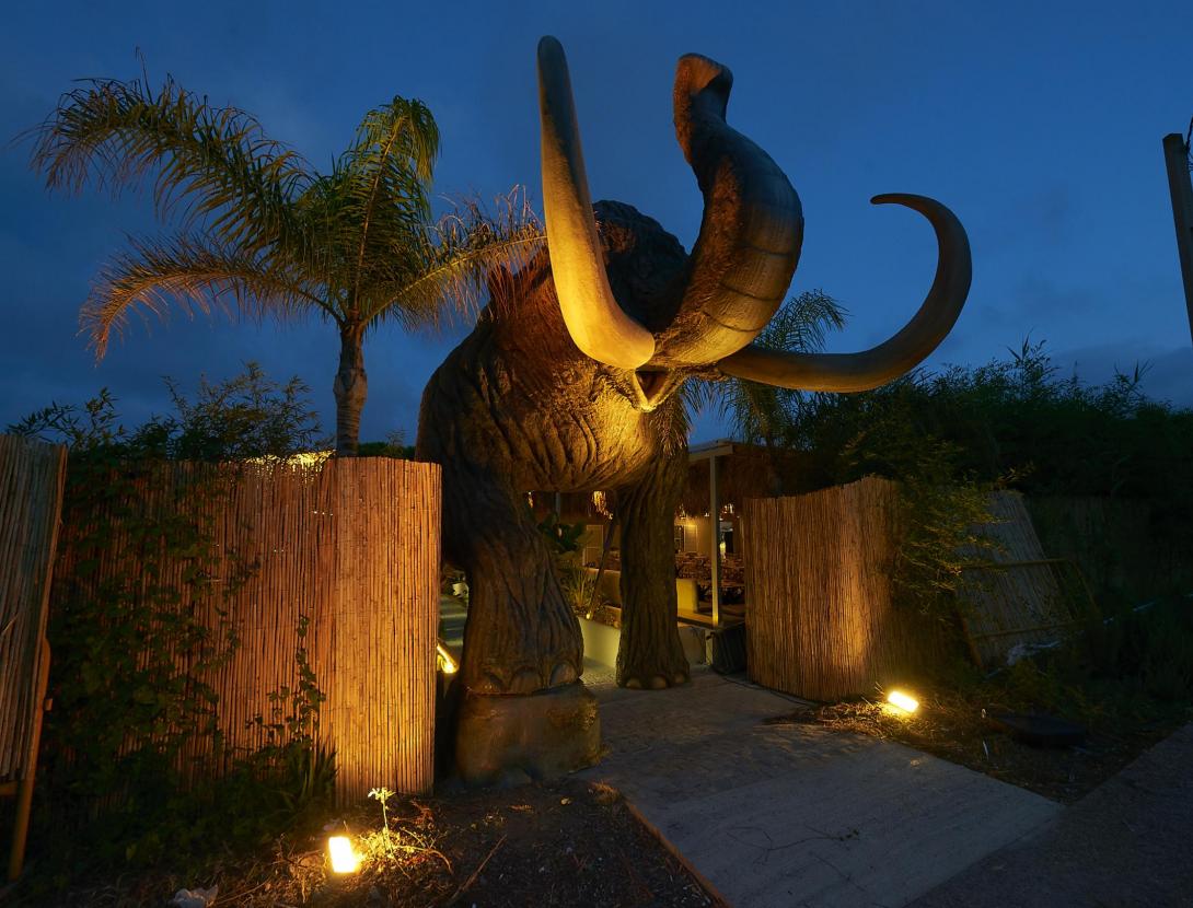 Ven a celebrar las fiestas en Mamut Beach Club