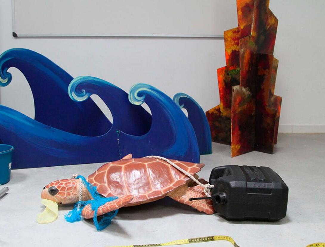 Com es rescata una tortuga Marina?