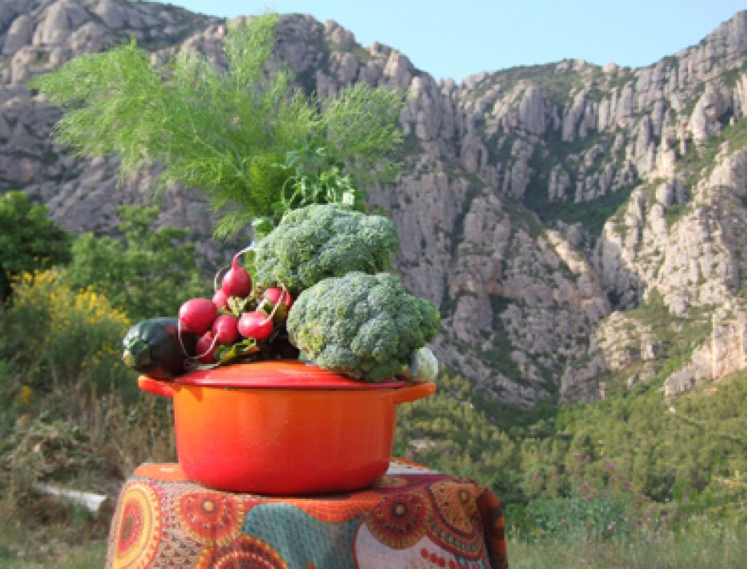 ingredients de cuina saludable amb montserrat al fons