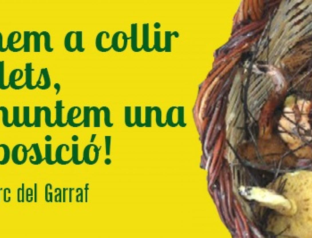 Anem a collir bolets.jpg