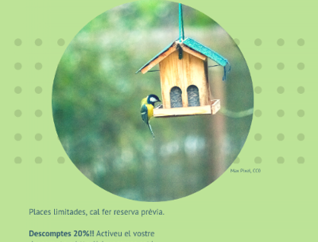 Cartell activitat en família "Fem caixes-niu i menjadores per a ocells"