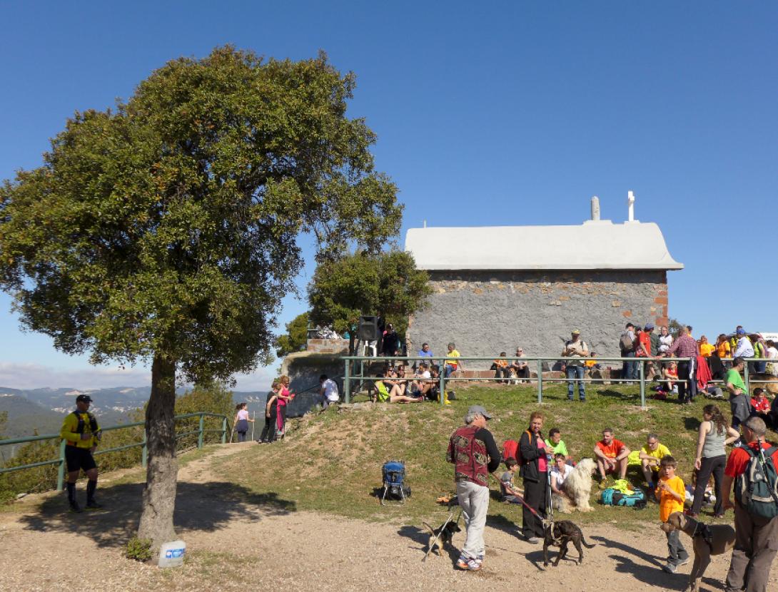 Aplec Sant Antoni XLI-30.jpg