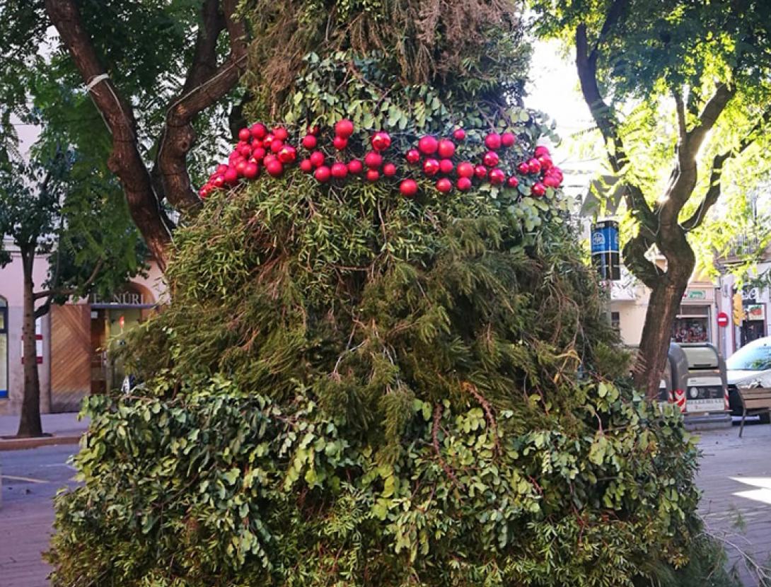 Arbre plaça Ajuntament.jpg