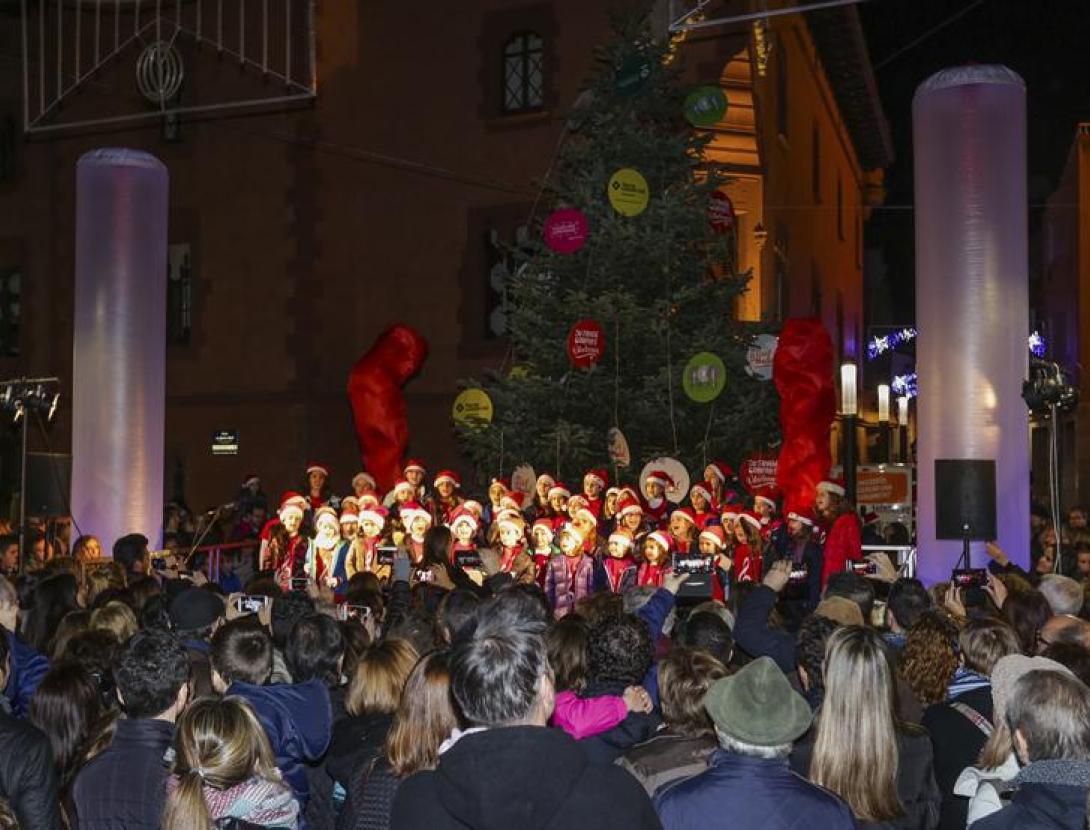 arbre viladecans1.jpg