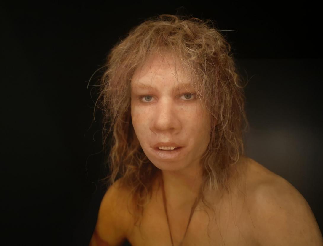 Visita guiada a l'exposició "Art Primer. Artistes de la prehistòria"