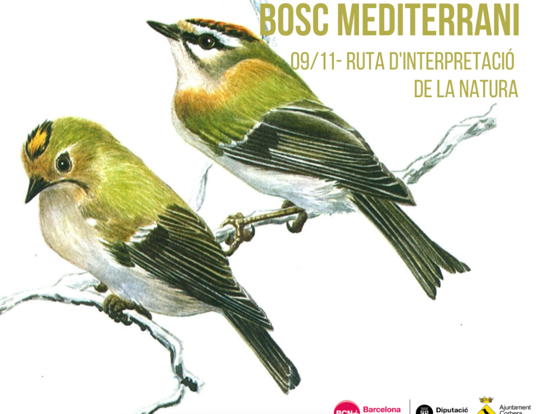 Aus Autòctones del Bosc Mediterrani