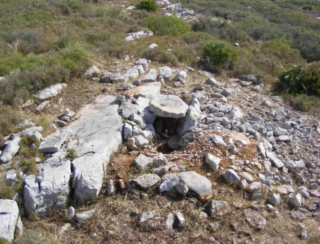 UN DOLMEN AL CAMPGRÀS