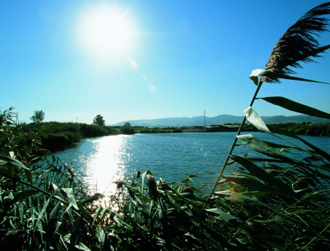 Passejada a les basses de Can Dimoni