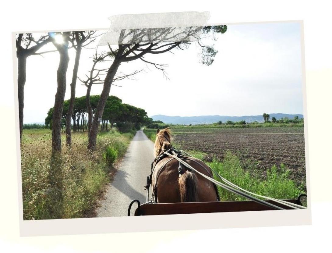 capvespresapages (2).jpg