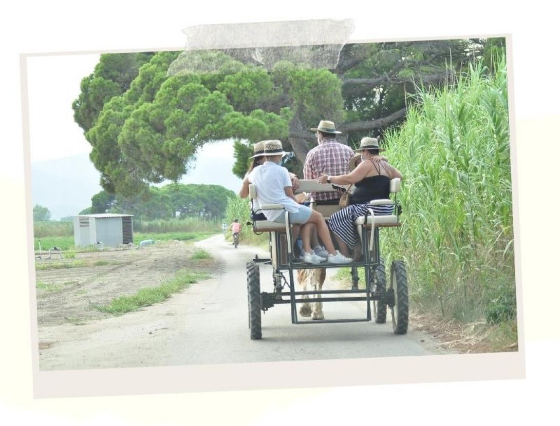 capvespresapages (4).jpg