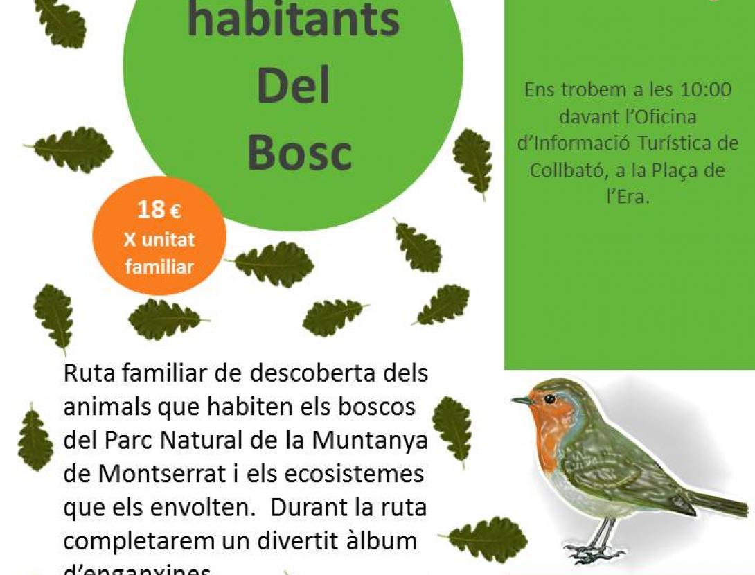 cartell activitats standard.jpg