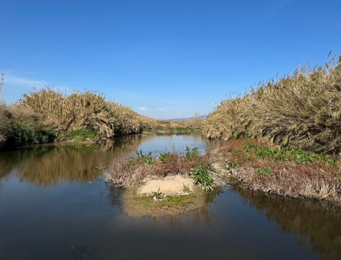 Visites a l’entorn fluvial: “Invasors del Llobregat”
