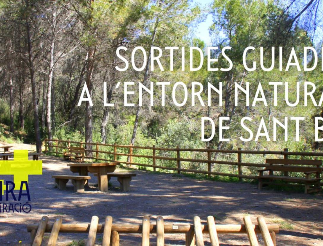 Visites a l’entorn forestal: “Plantes aromàtiques i remeieres”