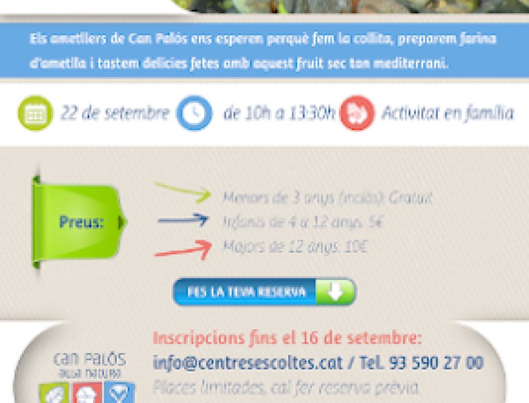 Cartell de 'activitat