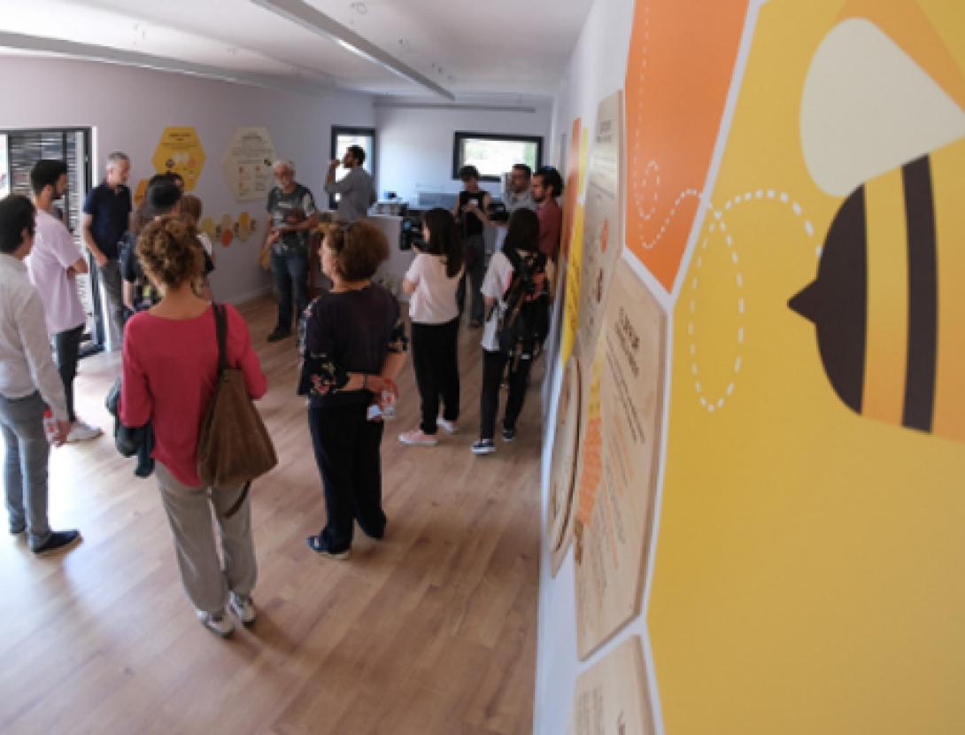 casa de les abelles.jpg