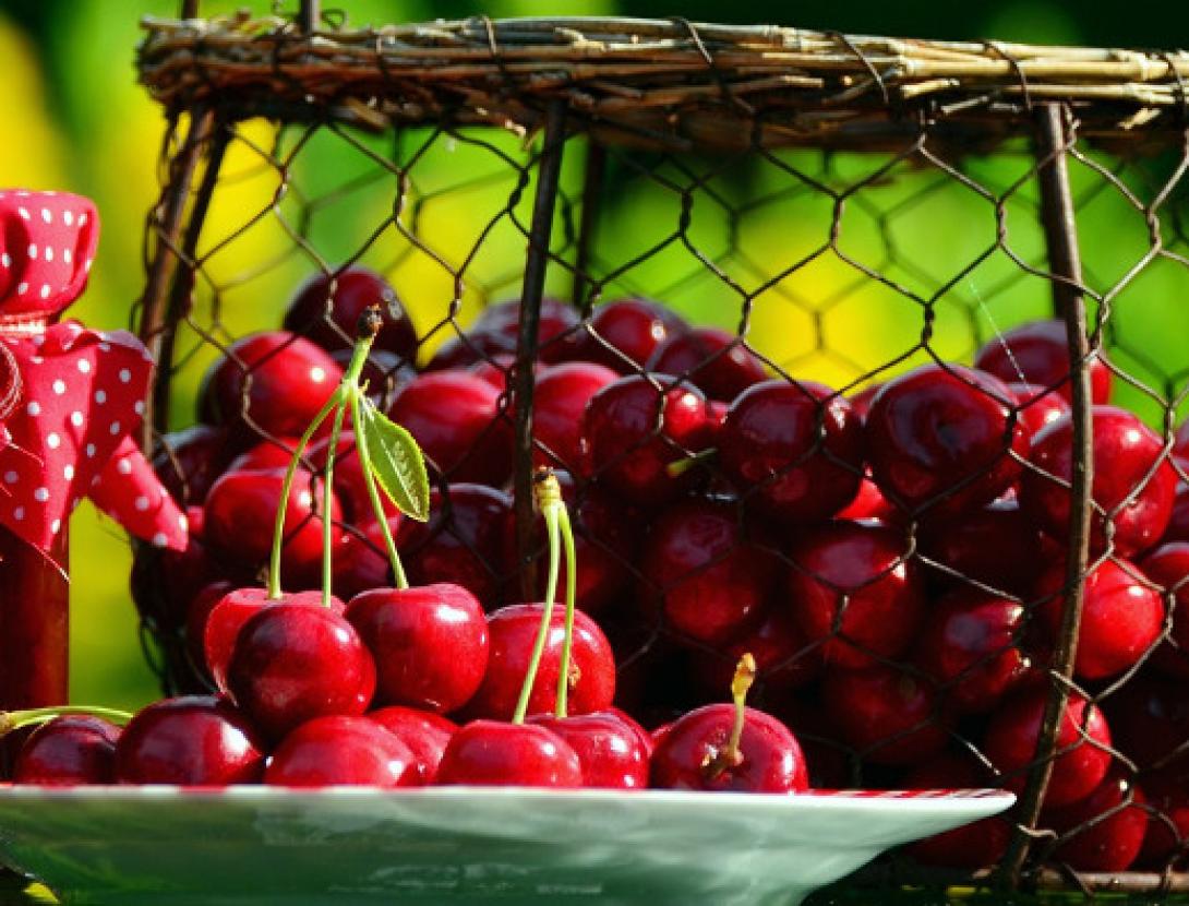 cireres i melmelada de cireres