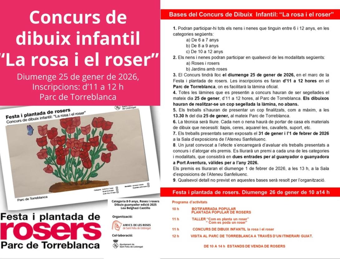 Plantada de rosers al parc Torreblanca