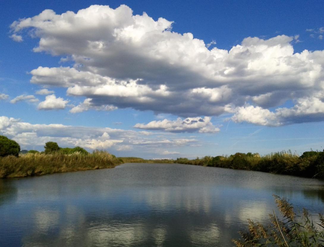 Sortida al Delta del Llobregat