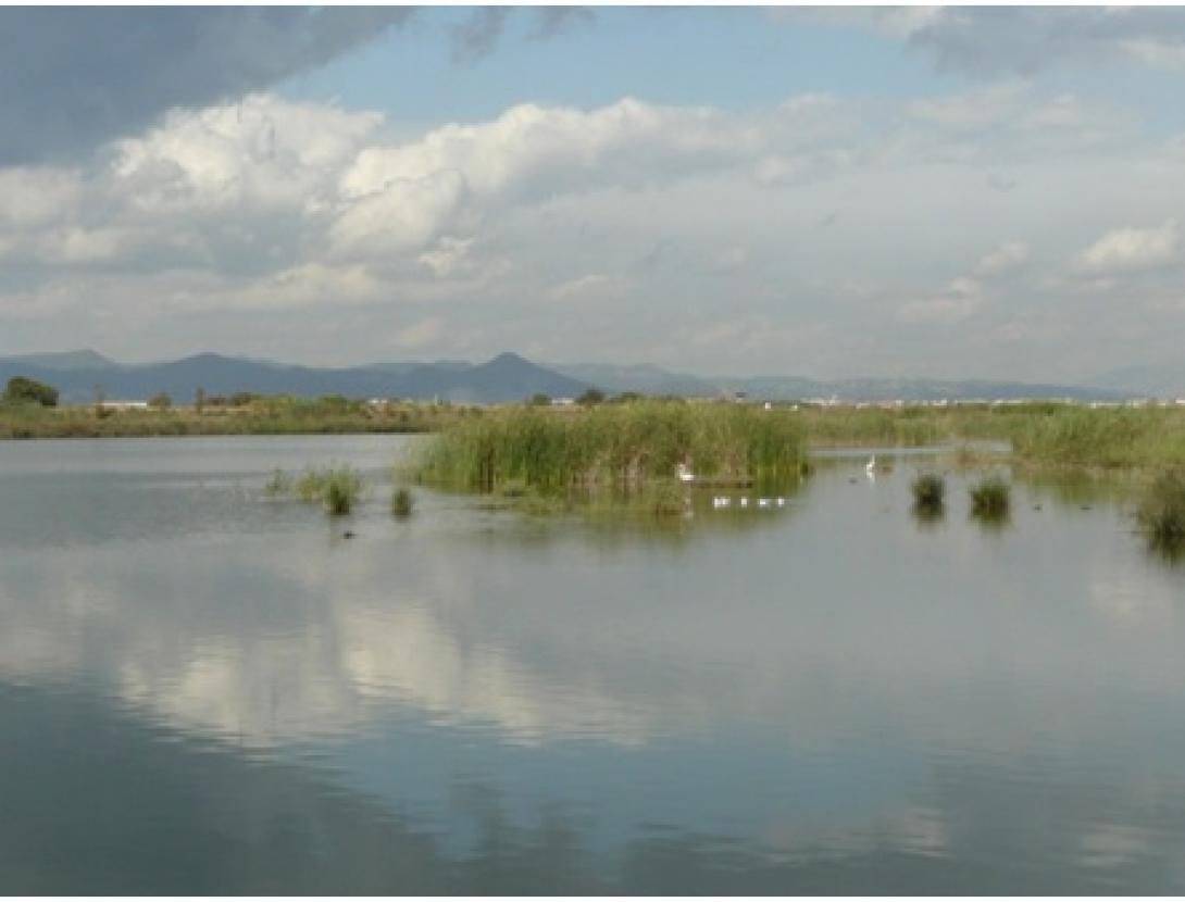 DIA MUNDIAL DELS OCELLS A L’ESPAI NATURAL DEL REMOLAR – FILIPINES