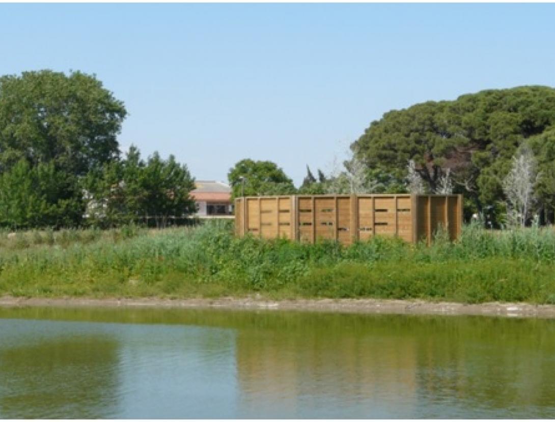 DIA MUNDIAL DELS OCELLS A L’ESTANY DE LA MURTRA