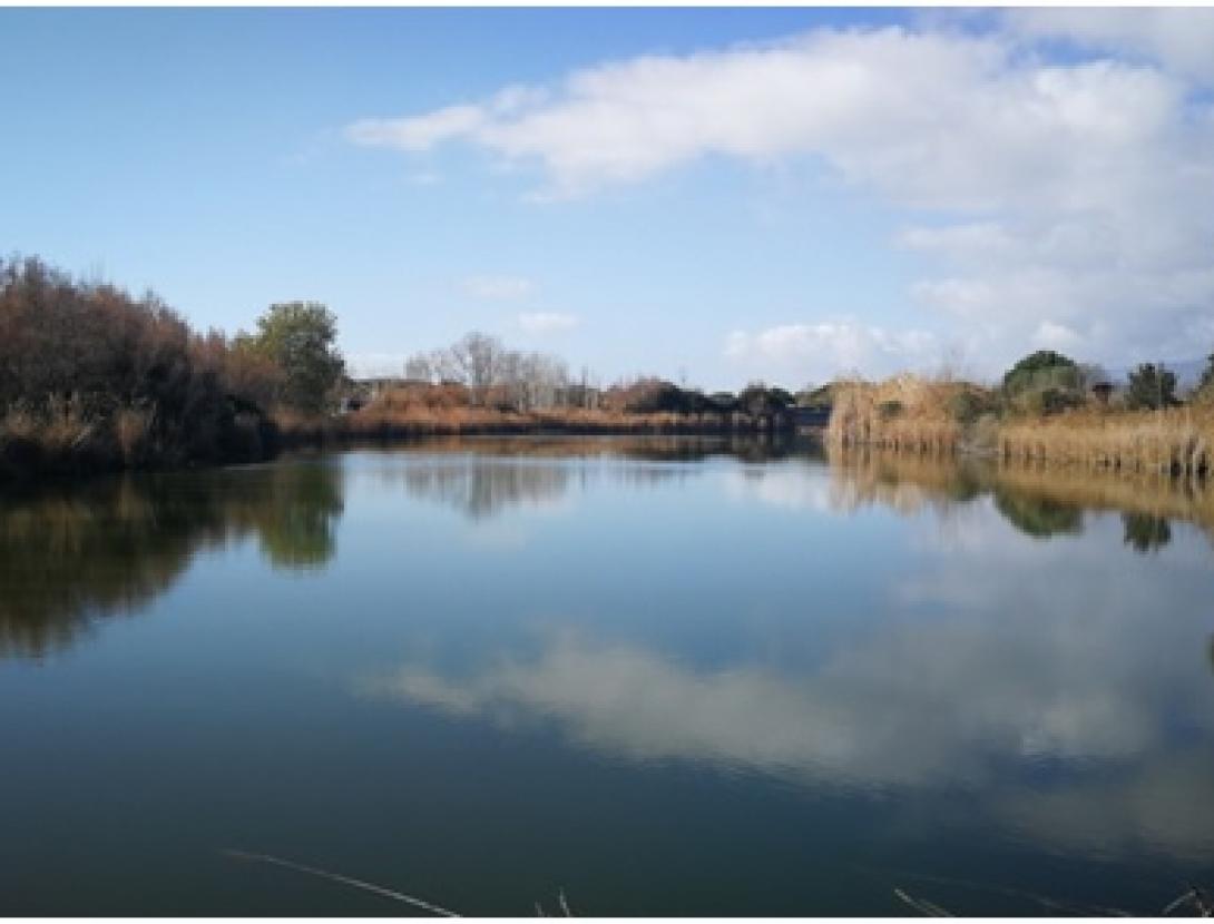 DIA MUNDIAL DELS OCELLS A L’ESPAI NATURAL DEL REMOLAR – FILIPINES