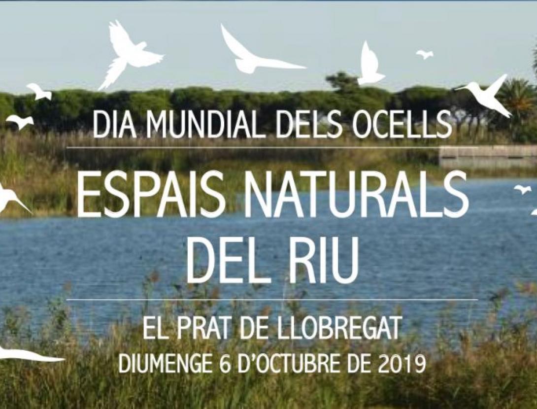 DIA MUNDIAL DELS OCELLS. ESPAIS NATURALS DEL RIU