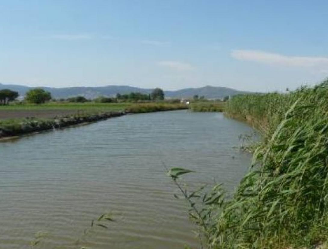 Dia mundial ocells La Murtra