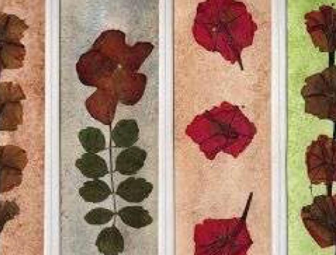 Jugateca: Fem un punt de llibre