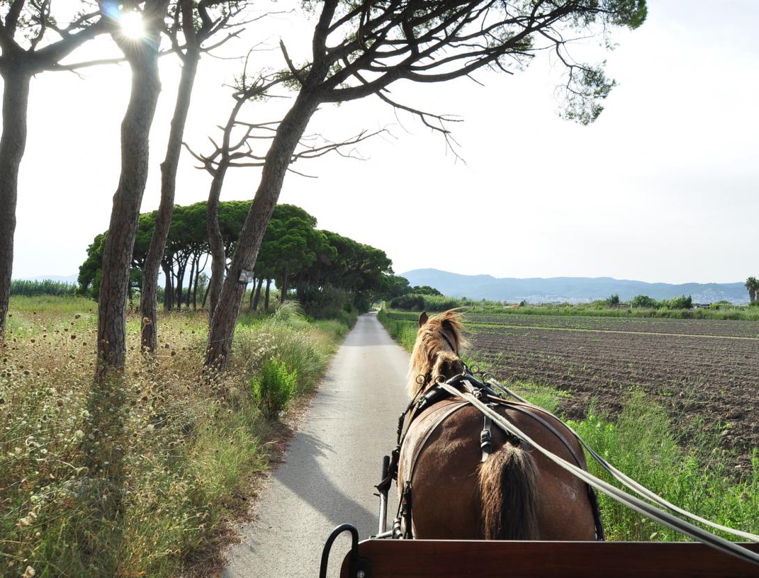 Matins i Capvespres a pagès