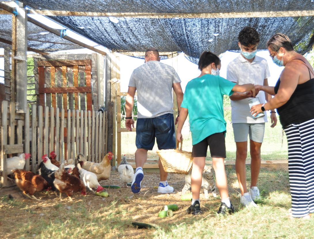 Matins i Capvespres a pagès