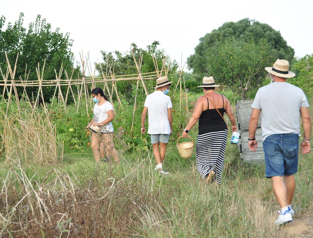 Matins i Capvespres a pagès