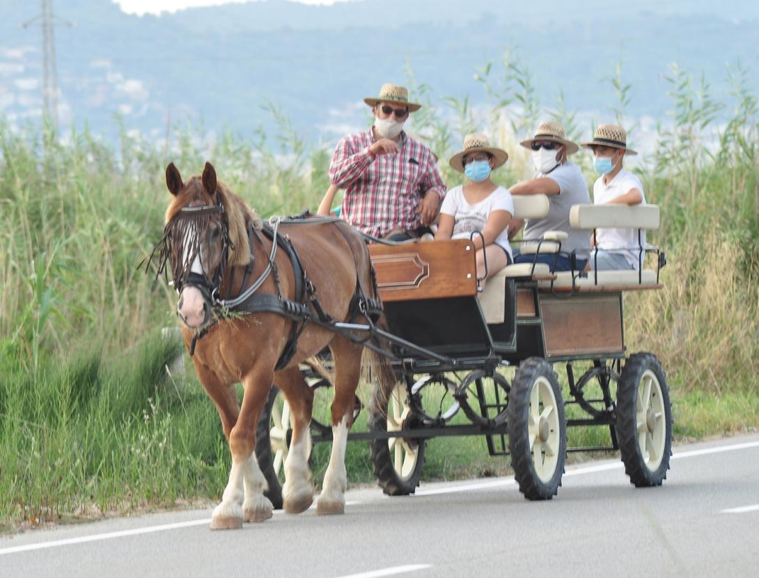 Passejada en carro amb el Bruce