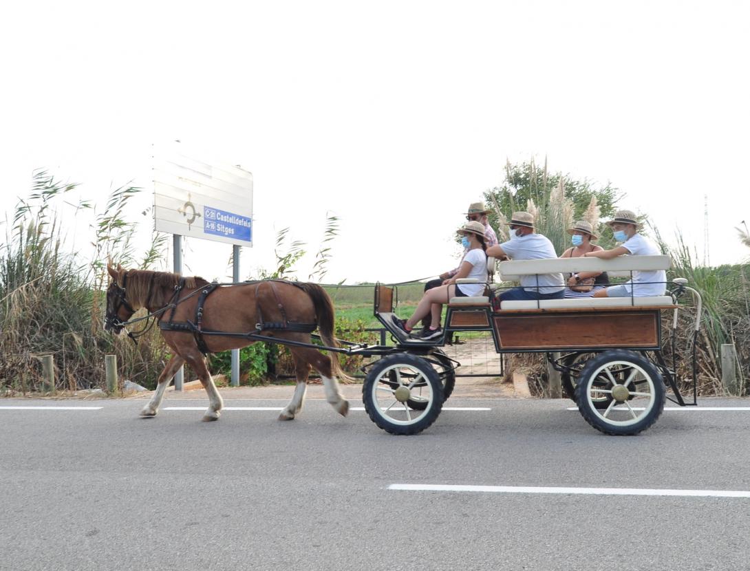 Matins i capvespres a pagès