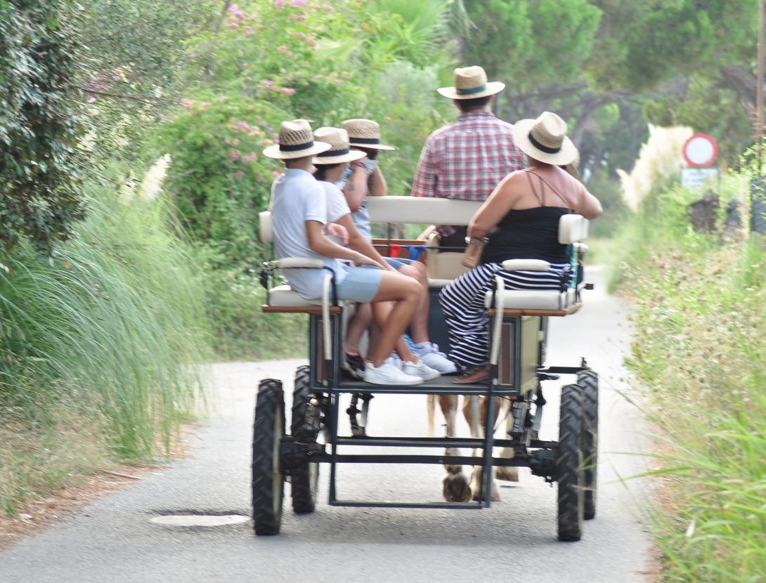 Matins i Capvespres a pagès