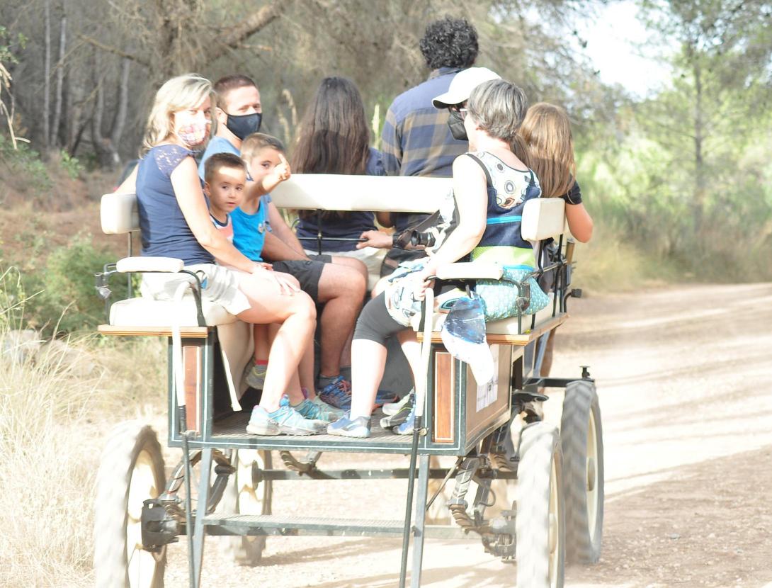 PELS BOSCOS DEL BAIX EN CARRUATGE