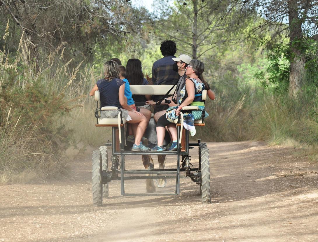PELS BOSCOS DEL BAIX EN CARRUATGE