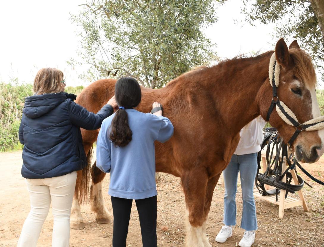 Matins i Capvespres a pagès