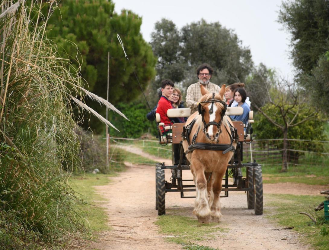 Matins i Capvespres a pagès